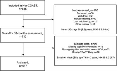 Post-stroke Cognitive Impairment—Impact of Follow-Up Time and Stroke Subtype on Severity and Cognitive Profile: The Nor-COAST Study
